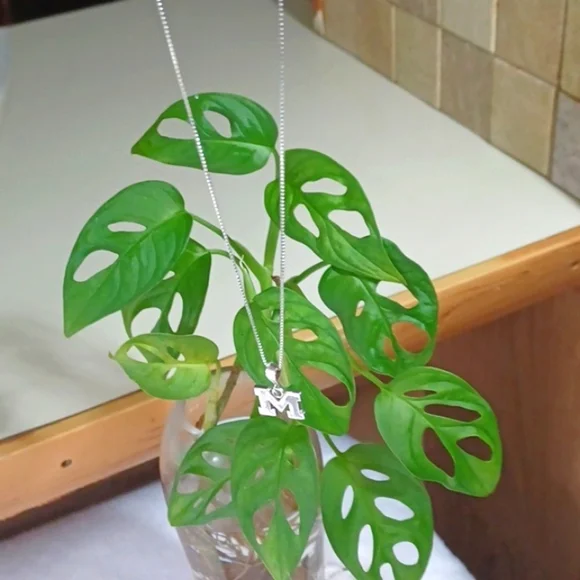 Sterling Silver 925 Sepertine  Box ChainW/  M / Charm Necklace 19 Long 3.1Grams - Picture 7 of 10